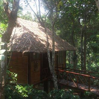 County Tree House  Stays, Wayanad 5